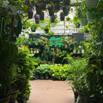 Jordan's Jungle - New entrance - Nurseries & Gardening Near Me - Pawtucket, Rhode Island