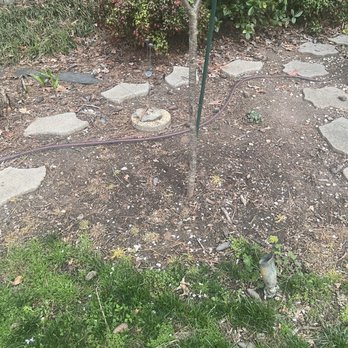 Universal Helpers - Nothing around the tree or the steps - Junk Removal & Hauling Near Me