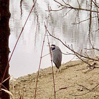 Shadyside Memorial Park - Heron - Parks Near Me - Anderson, Indiana