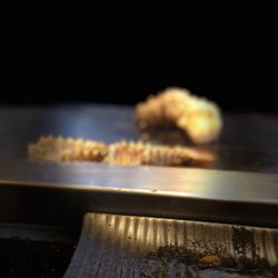 Tokyo Teppanyaki