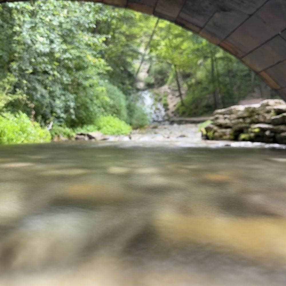 Dunning's Spring Park - Parks Near Me - Decorah, Iowa Dunning's Spring Park - Parks Near Me - Decorah, Iowa