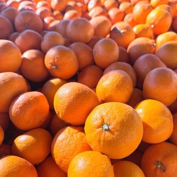 Hooverville Orchards - Satsuma tangerines - Fruits & Veggies Near Me - Placerville, California