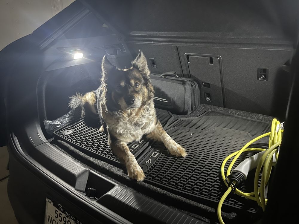 FOUNDATION HYUNDAI 20 Photos & 49 Reviews 10450 Federal Blvd