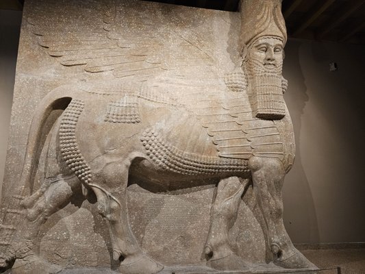 Institute for the Study of Ancient Cultures Museum by null