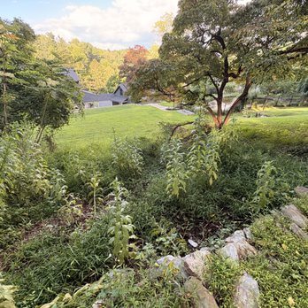 Lang's Lawn Care - Tree Services Near Me - Malvern, Pennsylvania Lang's Lawn Care - Tree Services Near Me - Malvern, Pennsylvania