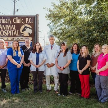 The Veterinary Clinic, PC - Veterinarians Near Me - Fairfield, Iowa The Veterinary Clinic, PC - Veterinarians Near Me - Fairfield, Iowa