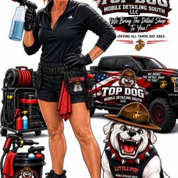 Top Dog Mobile Detailing South