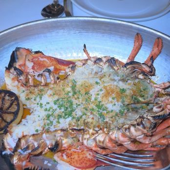 Mister Charles - Lobster Thermidor - American Near Me - Dallas, Texas Mister Charles - Lobster Thermidor - American Near Me - Dallas, Texas