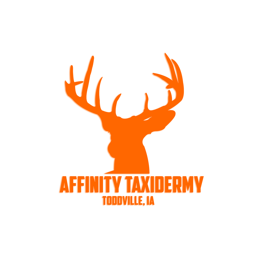 Affinity Taxidermy - taxidermy in Toddville, IA