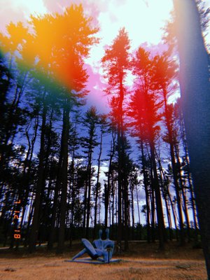 Quinnipiac University by null