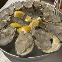 Oysters