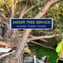 Photo of Jaeger's Tree Service