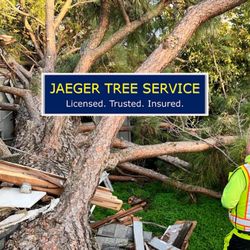 Jaeger's Tree Service