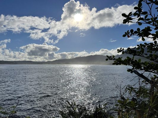 Hanalei Beach by null
