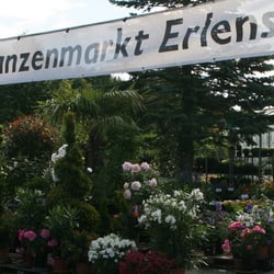Pflanzenmarkt Erlensee - Eingang zum Pflanzenmarkt Erlensee.