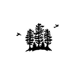 White Pine Books