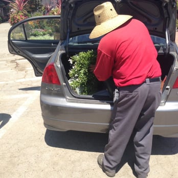 La Crescenta Nursery - Nurseries & Gardening Near Me - Glendale, California
