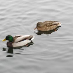 The Best 10 Active Life Near Am Schafersee Berlin Germany Last Updated September Yelp