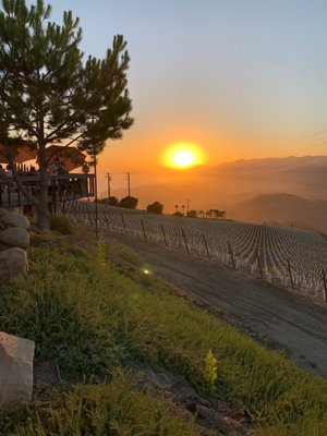 Rincon Mountain Winery Tasting Room by null