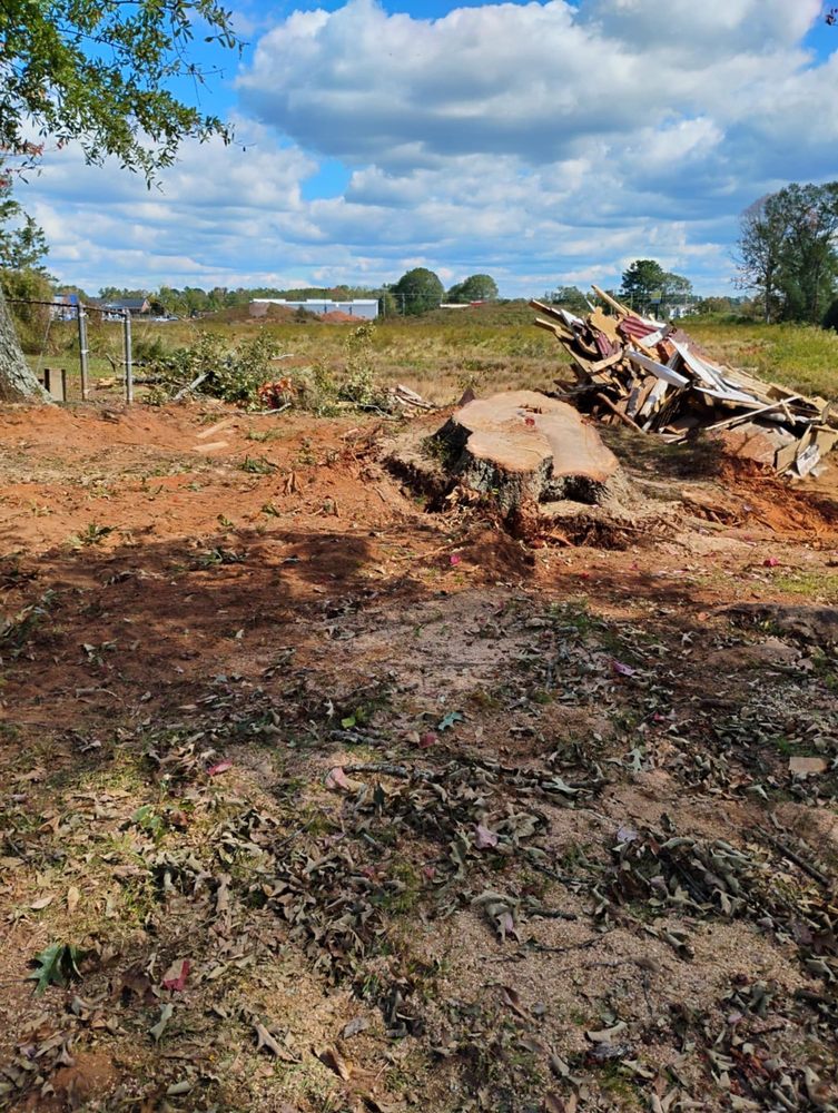Tree Life - tree service in Spartanburg, SC