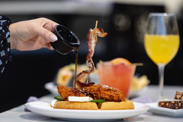 Thirsty Lion by null