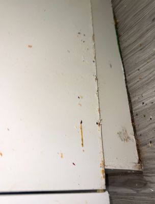 Lido at Shandin Hills by null