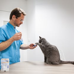 Clinique vétérinaire Mon chat et moi - Vous aider à le comprendre