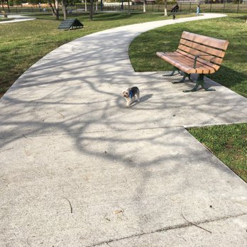 Bark Park - Sophie enjoying the area designated for small dogs. - Dog Parks Near Me - Miami, Florida