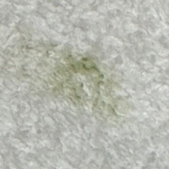 Comfort Suites Frisco - Mold in bathroom - Hotels Near Me - Frisco, Texas