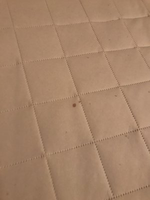 Southern Shores Realty by null