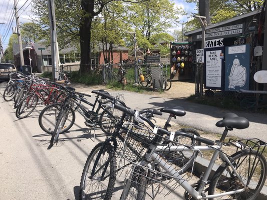 Brad’s Bike Rental & Repair by null