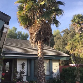 Salvador Tree Service - Tree Services Near Me Salvador Tree Service - Tree Services Near Me