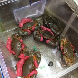 德記海鮮 - Gorgeous Crabs