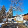 Cold Oak Tree Service