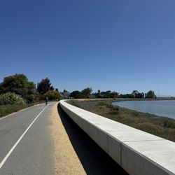 Redwood Shores Bay Trail - Separate walking and biking lanes