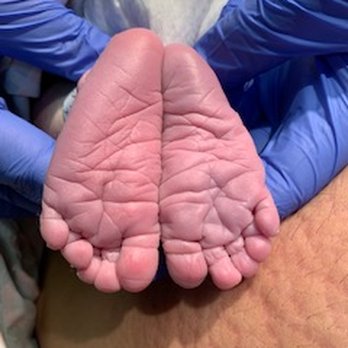 Doula Sheryll Randazzo - Placenta Encapsulations Near Me