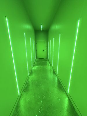 Montrose Collective by null