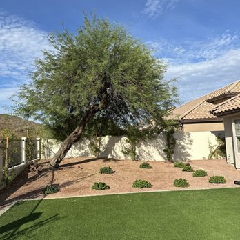 Miguel's tree care - Tree Services Near Me - Phoenix, Arizona Miguel's tree care - Tree Services Near Me - Phoenix, Arizona