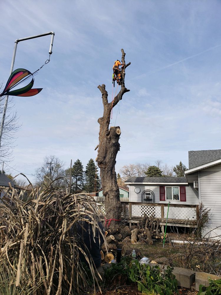 Will's Tree Service - tree service in Arthur, ND