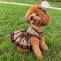 True Care Veterinary Hospital