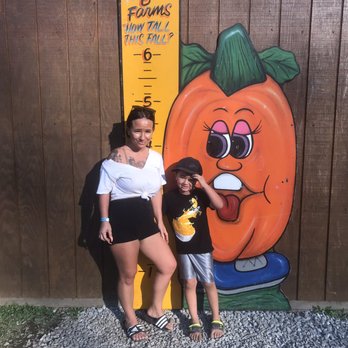 Triple B Farms - Pick Your Own Farms Near Me - Monongahela, Pennsylvania