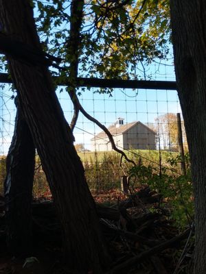 McCall Wines by null