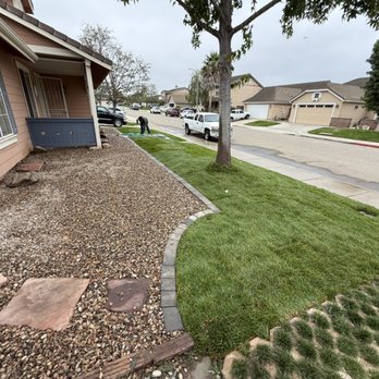 Grass Guys - ! - Landscaping Near Me Grass Guys - ! - Landscaping Near Me