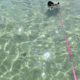 Water