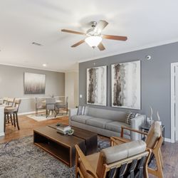 Cumberland Place Apartment Homes - Living room