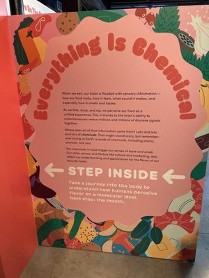 Museum of Food and Drink (MOFAD) by null