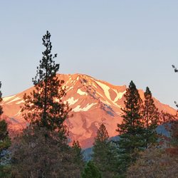 Mount Shasta City KOA Holiday