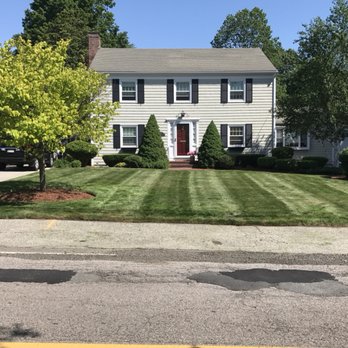 Lana Landscape - Tree Services Near Me