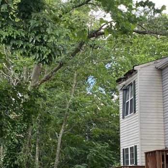 Milton's Tree Care Services - Tree Services Near Me Milton's Tree Care Services - Tree Services Near Me