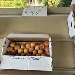 Sodaro Orchards